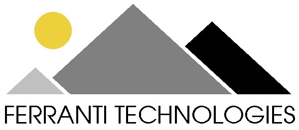 IT Strategy & Systems Selection - Ferranti Technologies Limited